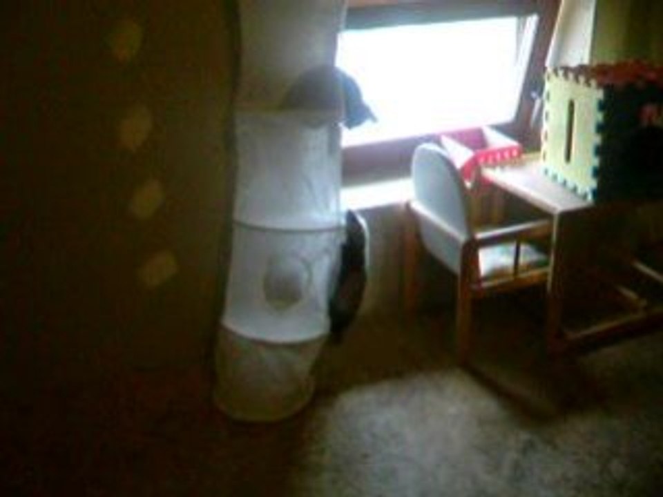 Si je t’attrape !! Je te mange Niak Niak !!