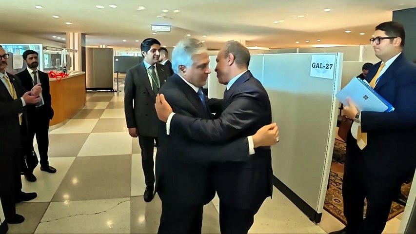 Pakistani FM meets Egyptian counterpart