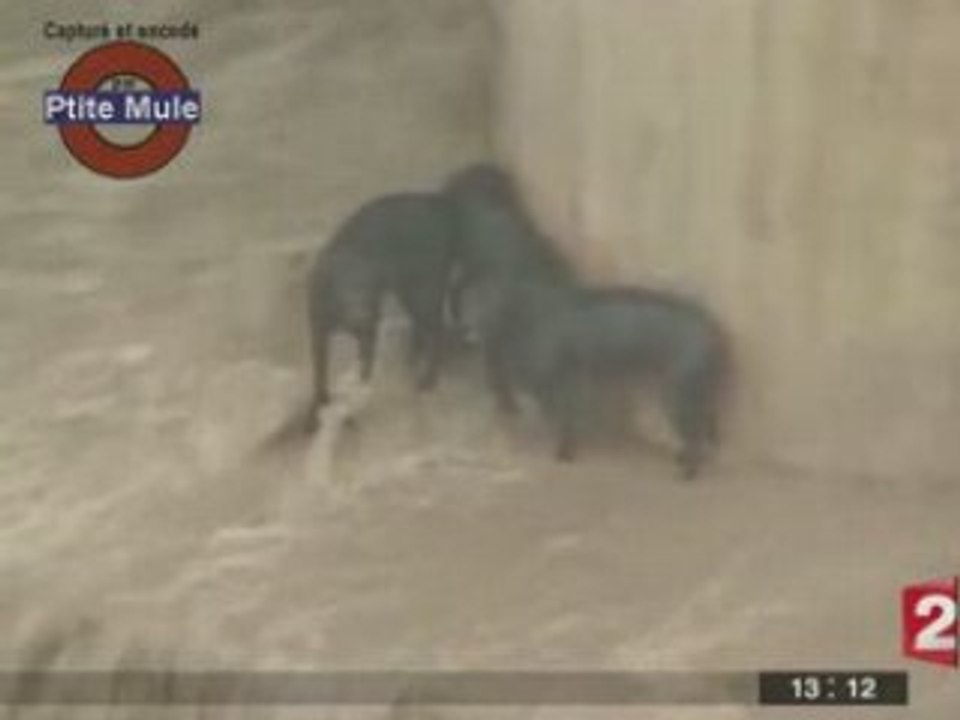 Un typhon sur Taïwan