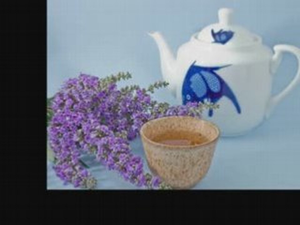 Okuma's Wu Long Tea