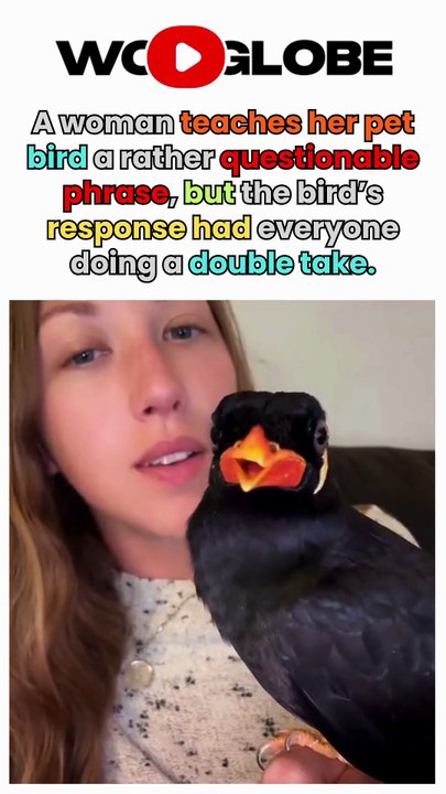 Funny pet bird clearly says a cheeky phrase during a conversation with his owner