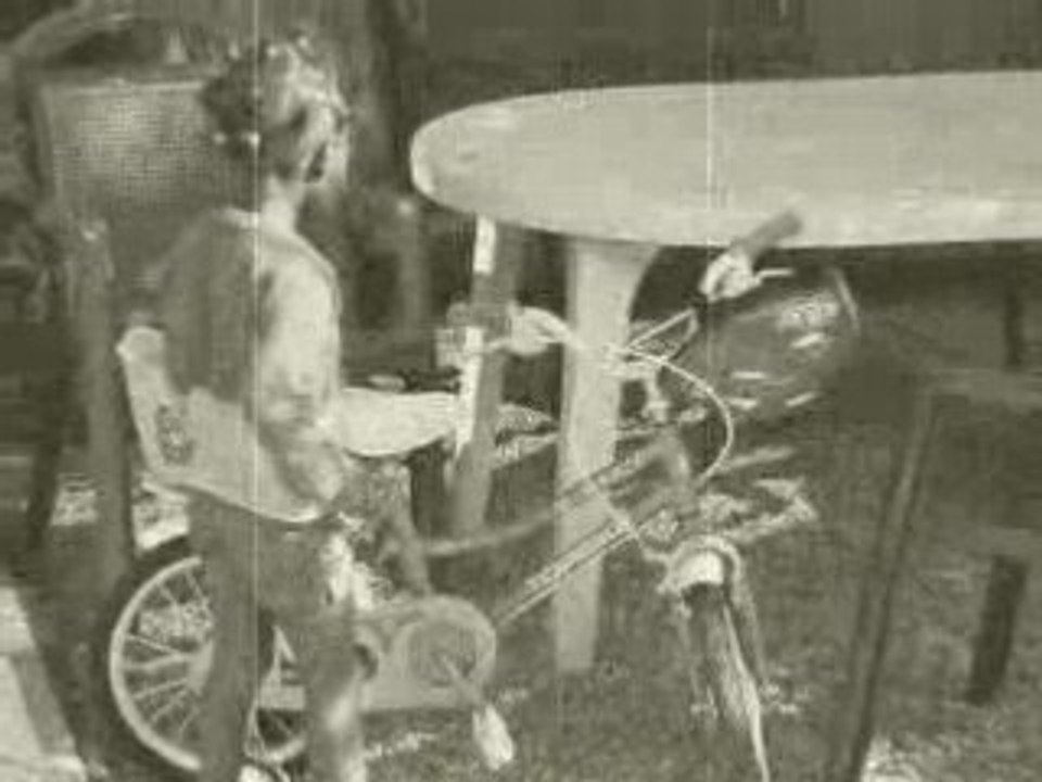 2008-07-04-wolgine 1920