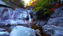 🌿Nature Paisible _ Petite Chute d'Eau et Musique Zen