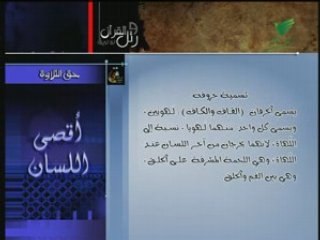 10 ورتل القرأن