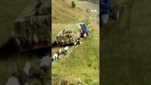 Ardahan’da kış hazırlığı telaşı başladı: Çiftçiler gece gündüz çalışıyor