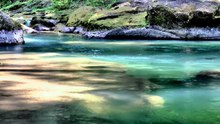 Bien-être _ Musique Douce et Rivière Turquoise 🌿