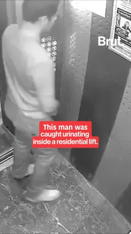 Man urinates inside a society lift in Ghaziabad