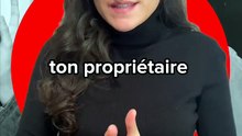 Ton proprio interdit les animaux de compagnie