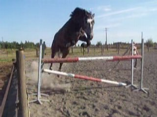 Saut en Lib Merc 06 (21)