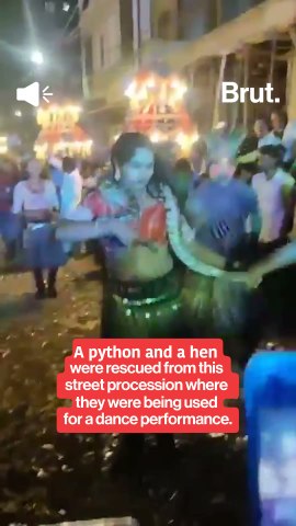 Animals rescued from street procession in Hyderabad