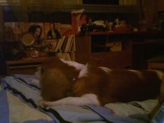 Cléon découvre sa réflexion