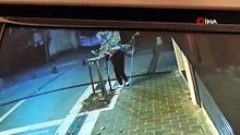İstanbul'da tepki çeken olay: Gece yarısı ağacı testereyle kesti