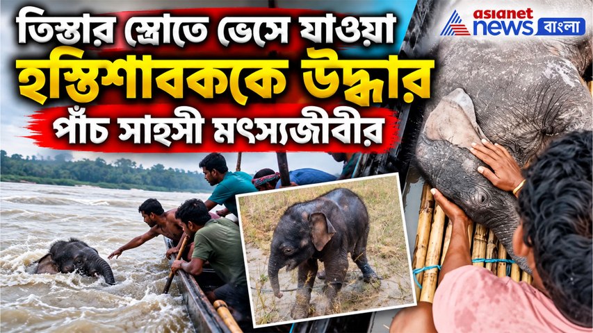 তিস্তার স্রোতে ভেসে যাওয়া হস্তিশাবককে উদ্ধার পাঁচ সাহসী মৎস্যজীবীর