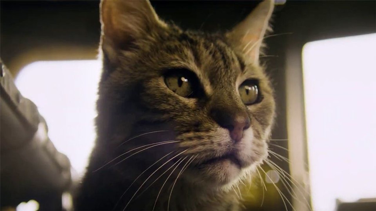 Apocalypse Z: New World Teaser OV