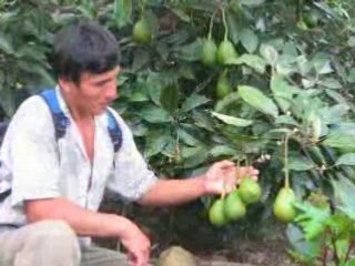 Desarrollo Economico