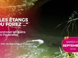 Agenda des Sorties du 23 au 25 septembre 2026