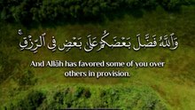 ﴿ وَاللَّهُ فَضَّلَ بَعضَكُم عَلى بَعضٍ فِي الرِّزقِ ﴾