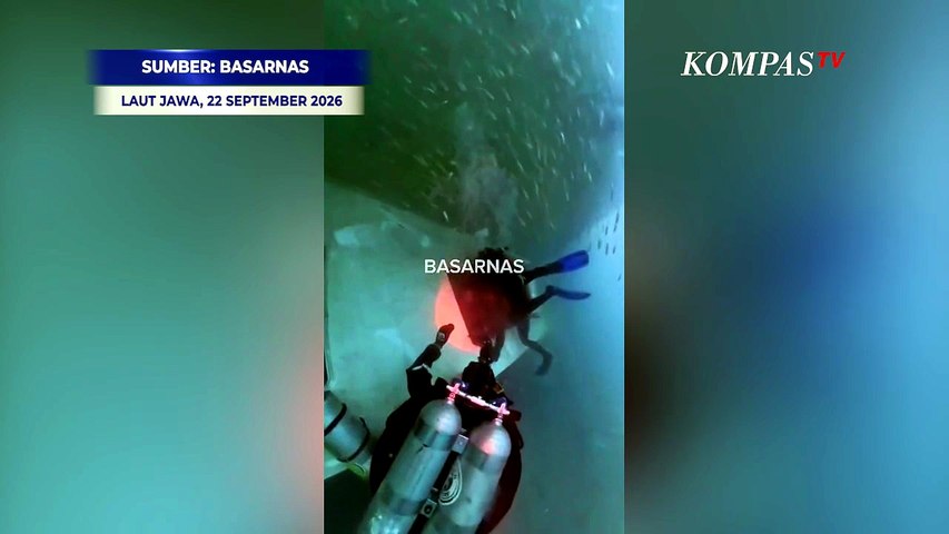Aksi Penyelam Buka Akses Kabin KM Virgo, Berusaha Pecahkan Kaca Terkendala Hal Ini
