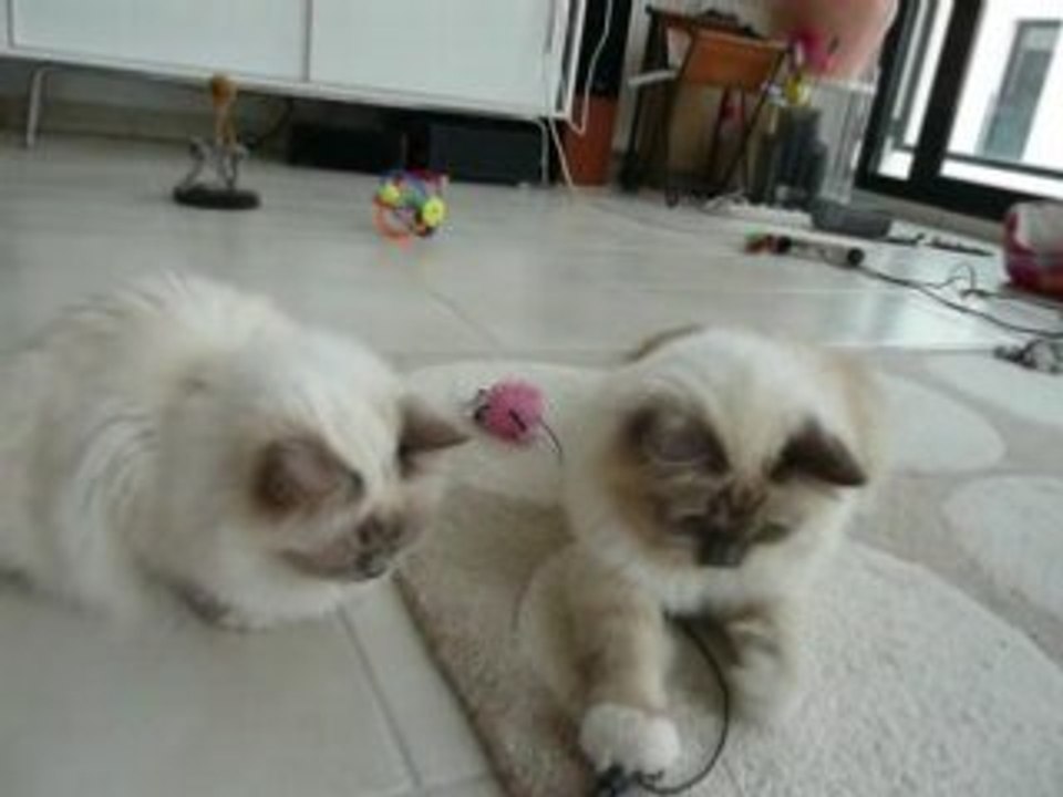 moi je veux pas grandir