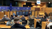 Ευρωκοινοβούλιο: «18/9» για τον Παύλο Φύσσα - H Δώρα Χρυσικού καλεσμένη του Νικόλα Φαραντούρη