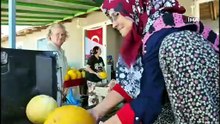 Kadın eli değdi, tarlalar bereketlendi