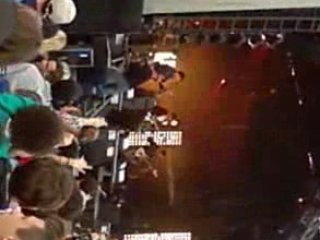 Papillon de nuits babyshambles