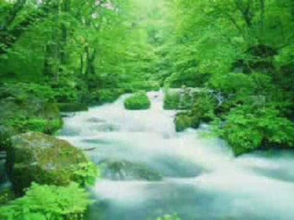 Très BELLE Récitation !! SAINT CORAN