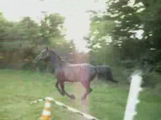 Séance de Saut en Liberté !!!