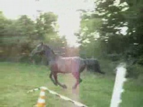 Séance de Saut en Liberté !!!