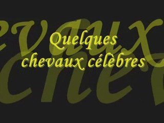 Chevaux Célebres