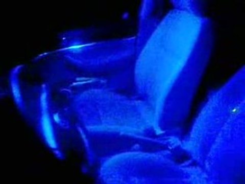 Néons Caro Guil Tuning