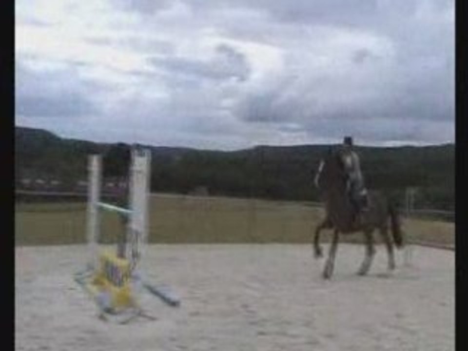 ALICE NORTON CSO entrainement