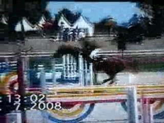 Lamotte Beuvron 2008