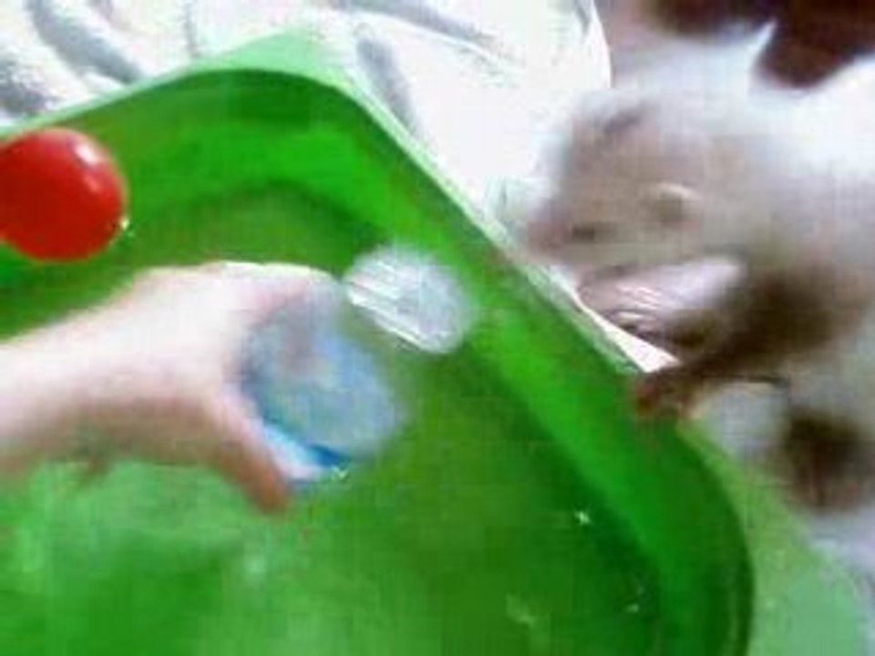 Peluche, furet plongeur