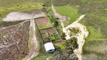 The productive grazing property Folly Farm went to auction.