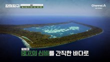 [예고] "꿈속에 있는 것 같아" 적도의 바다가 보여주는 바닷속 축제! 풍요의 축제! 축제의 섬 데라완