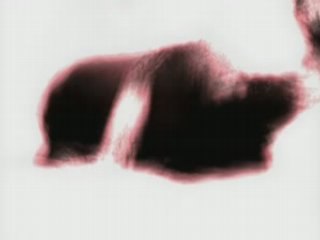 Spot Anti-Corrida N°3 (Renaud)