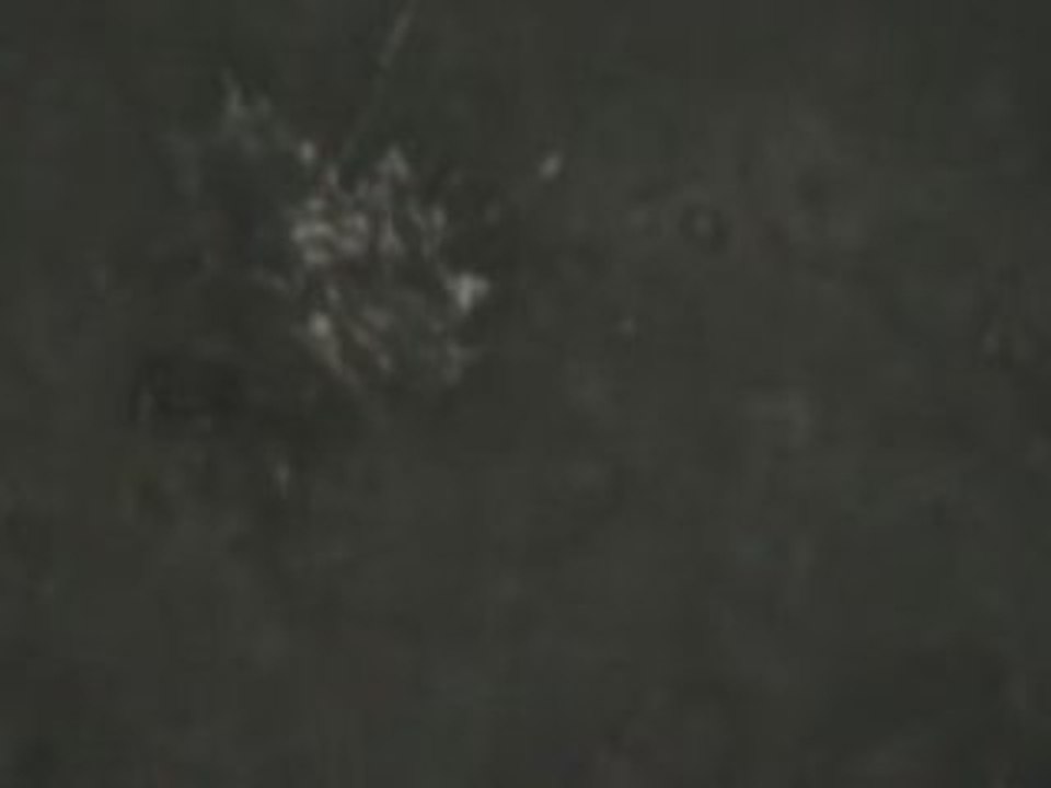 forme 3