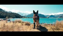 Heart of the Beast  I  Official Trailer  I  2026