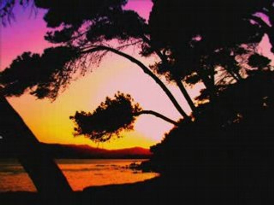 Cigales, mer, mouettes (ambiance)