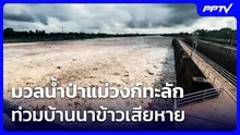 มวลน้ำป่าแม่วงก์ทะลักท่วมบ้านนาข้าวเสียหาย | เที่ยงทันข่าว | 23 ก.ย. 69