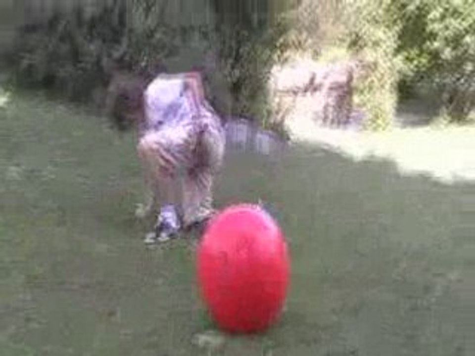 Moi Hop 55 1