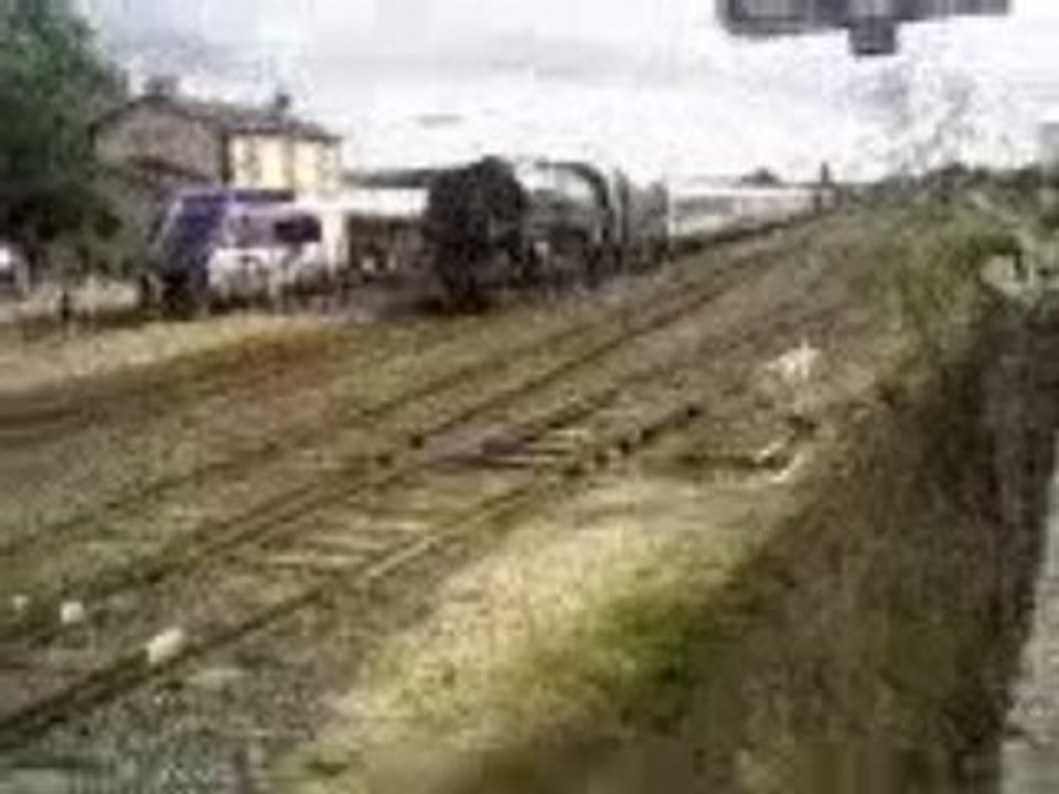 train
