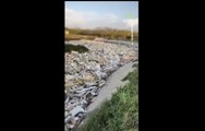 De déchets et des 