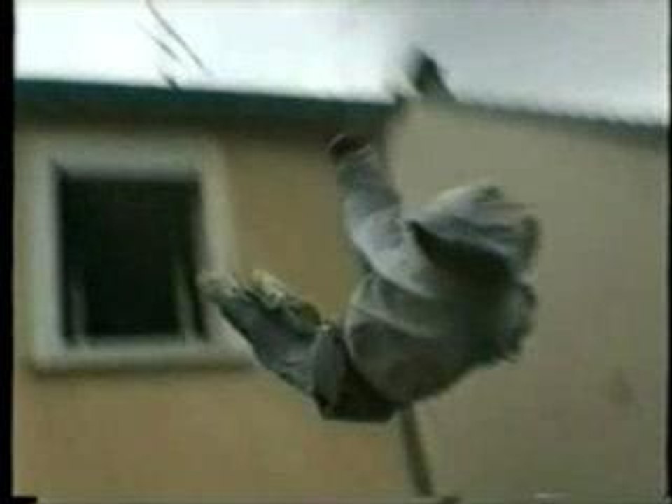 Suicide - jackass