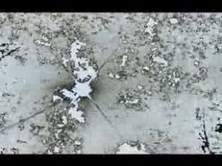 Boards of Canada - Oirectine