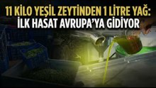 Avrupa ilaç yerine ilk hasat zeytinyağı içiyor