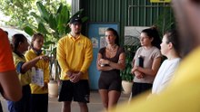Feat Northern Territory mango industry will be hit hard by visa cuts