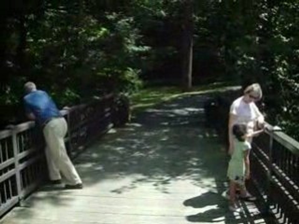 Inniswoods