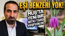Muş’ta Yeni Bitki Türü Keşfedildi : Dünyada Eşi Yok!
